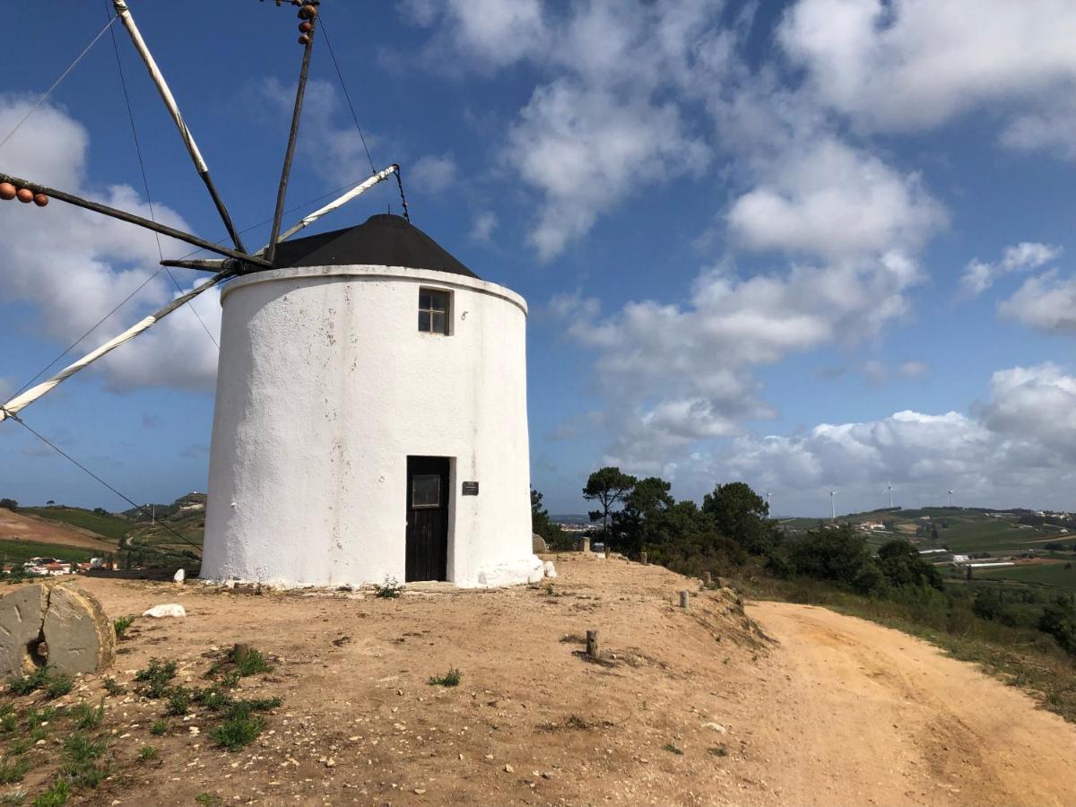 Traditional Portuguese Village House - Casa Martins No 52 Freiria エクステリア 写真