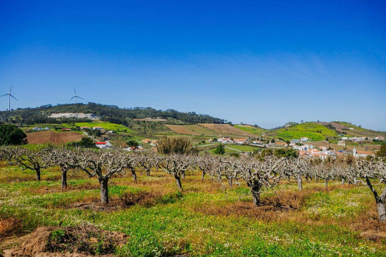 Traditional Portuguese Village House - Casa Martins No 52 Freiria エクステリア 写真