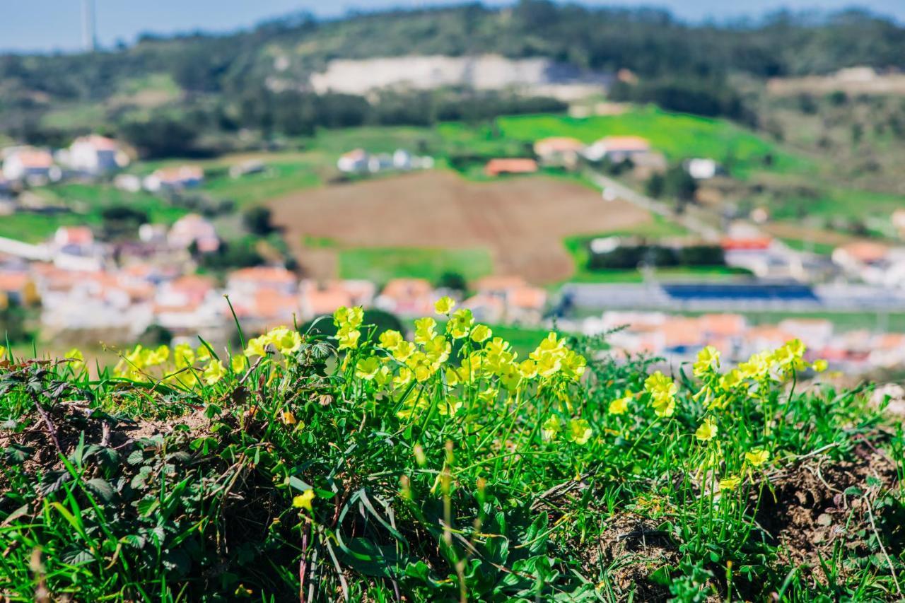 Traditional Portuguese Village House - Casa Martins No 52 Freiria エクステリア 写真