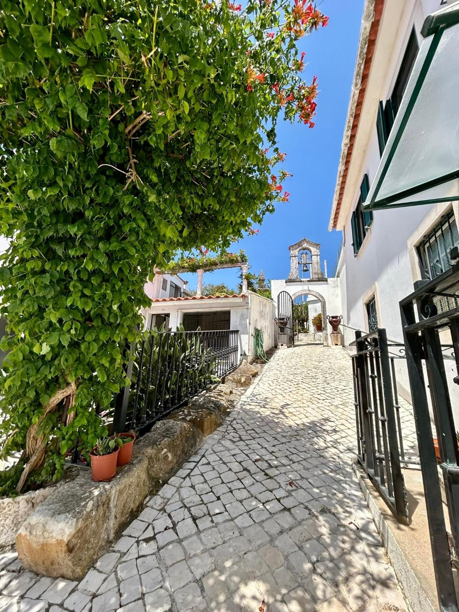 Traditional Portuguese Village House - Casa Martins No 52 Freiria エクステリア 写真